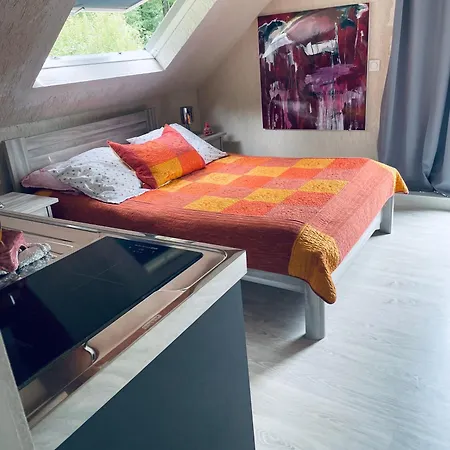 Au Bord De La Foret De Perseigne 3* Aillieres-Beauvoir