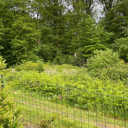 Au Bord De La Foret De Perseigne Oda ve Kahvaltı Aillieres-Beauvoir