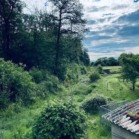 Au Bord De La Foret De Perseigne 3* Aillieres-Beauvoir