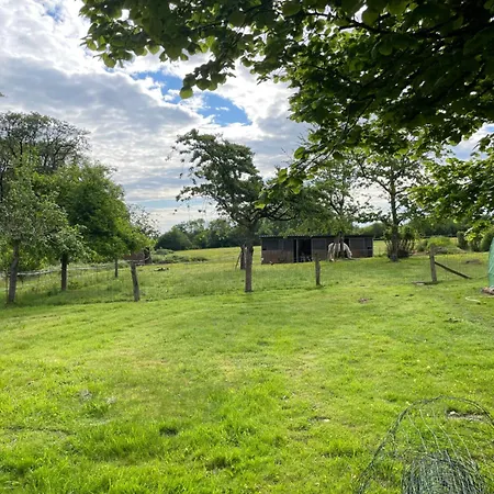 Au Bord De La Foret De Perseigne Oda ve Kahvaltı