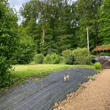 Oda ve Kahvaltı Au Bord De La Foret De Perseigne 3*