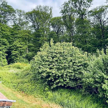 Au Bord De La Foret De Perseigne 3* Aillieres-Beauvoir