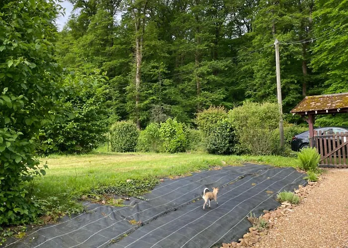 Bed and breakfast Au Bord De La Foret De Perseigne 3*